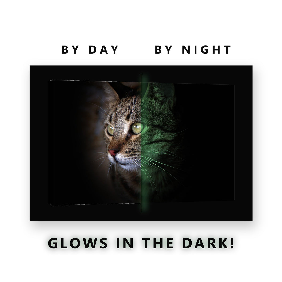Tabby Cat in the Shadows Glow in the Dark Canvas Wall Art Living Room, glowing at night