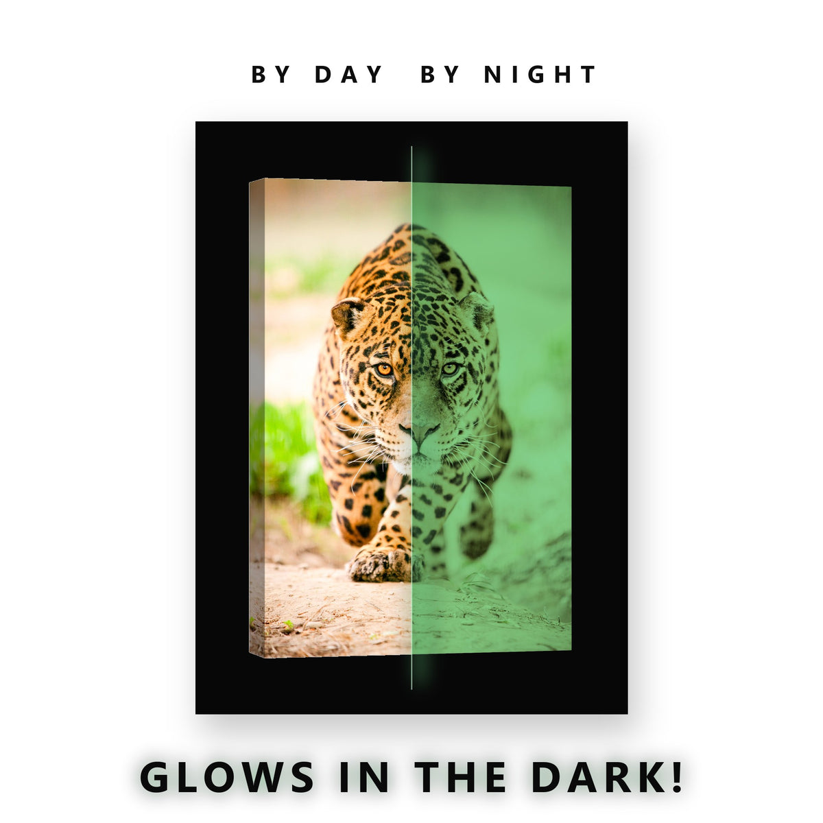 Jaguar Stalking Forward Glow in the Dark Canvas Wall Art for Man Cave, glowing at night
