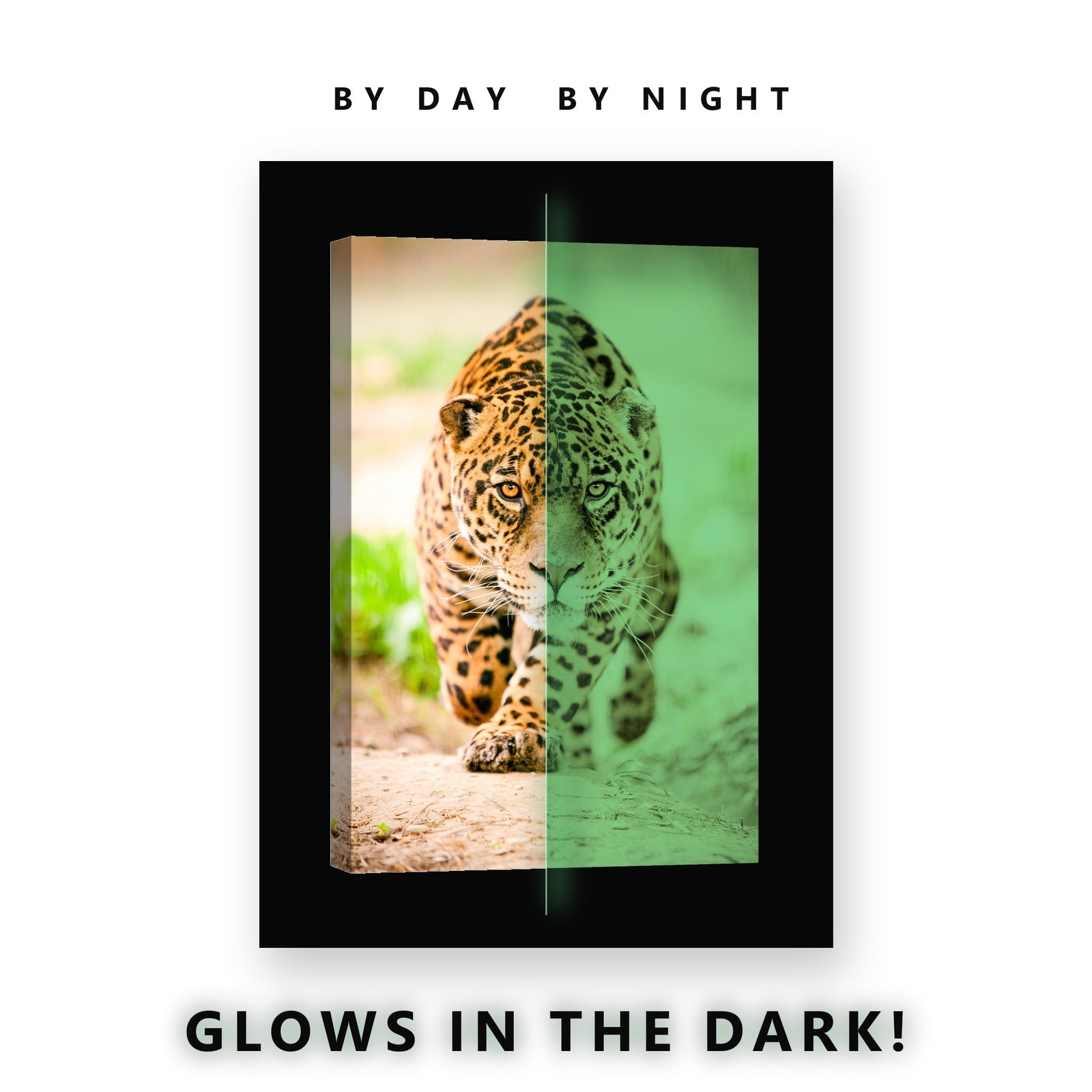 Jaguar Stalking Forward Glow in the Dark Canvas Wall Art for Man Cave, glowing at night