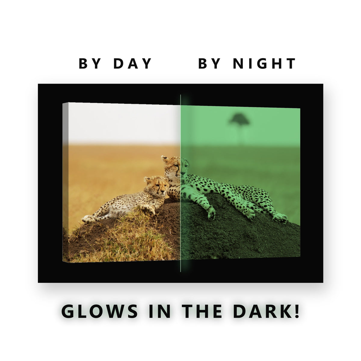 Cheetah and Cub on the Savanna Glow in the Dark Canvas Wall Art Kids Room, glowing at night
