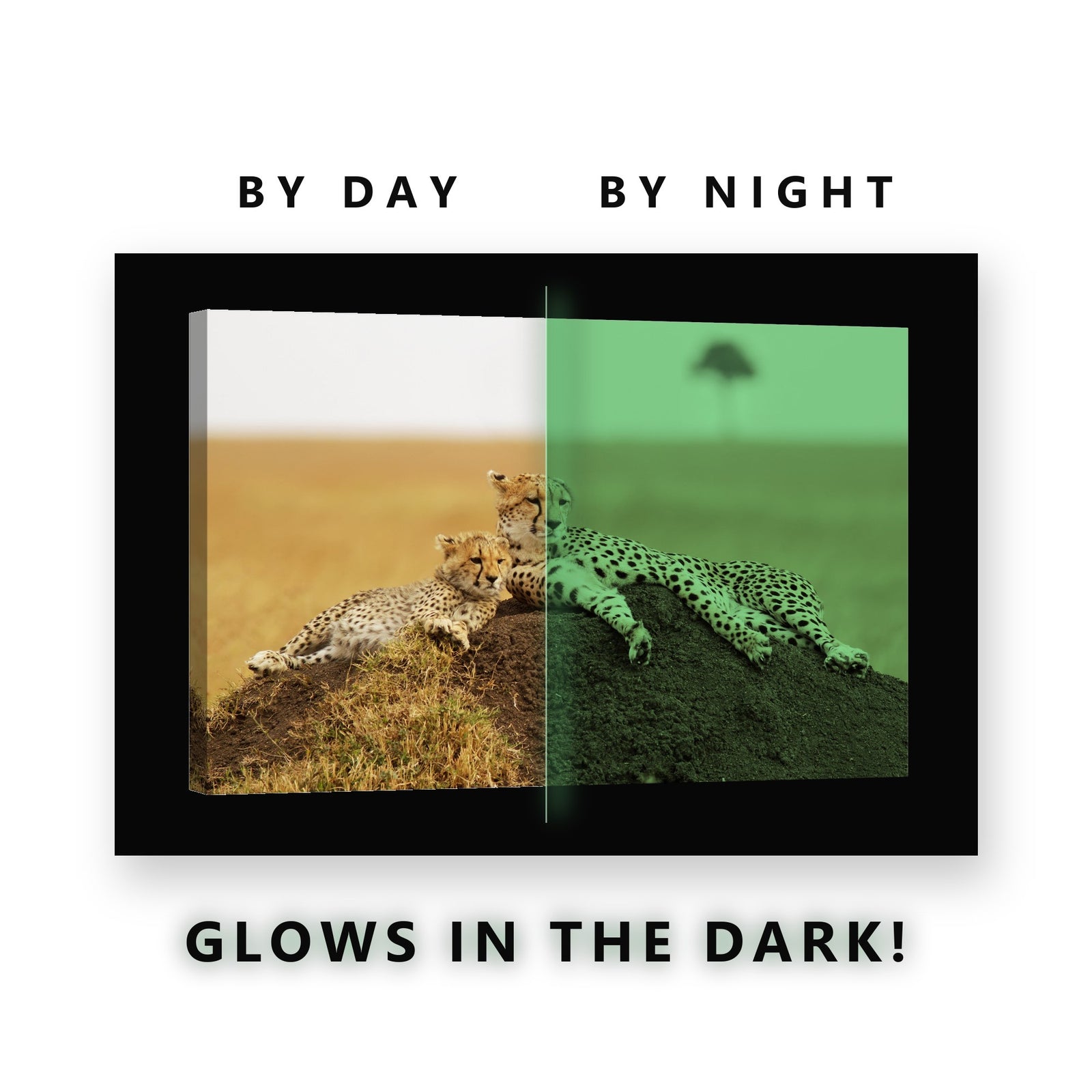 Cheetah and Cub on the Savanna Glow in the Dark Canvas Wall Art Kids Room, glowing at night
