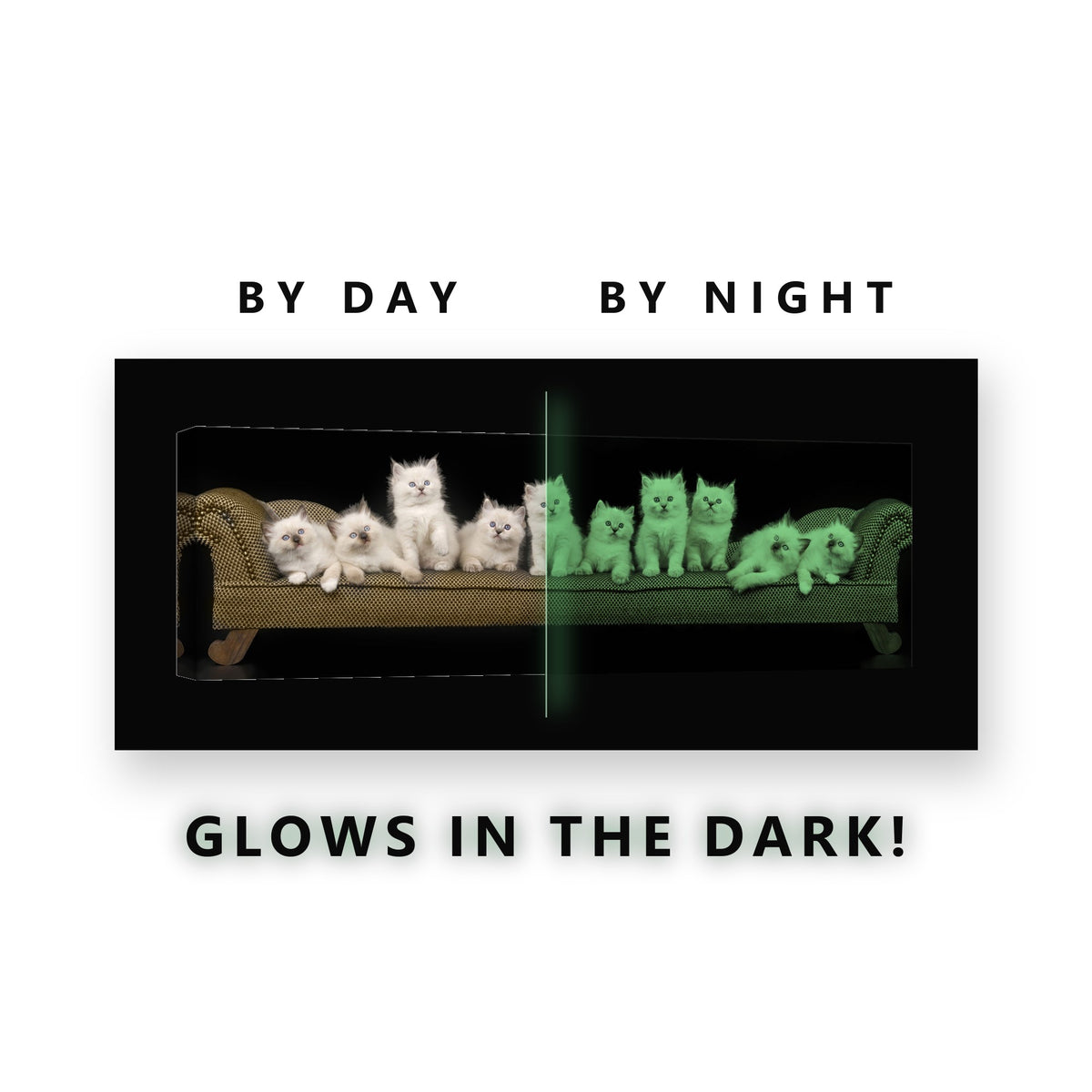 Ten Kittens on a Sofa Glow in the Dark Canvas Wall Art for Kids Room, glowing at night