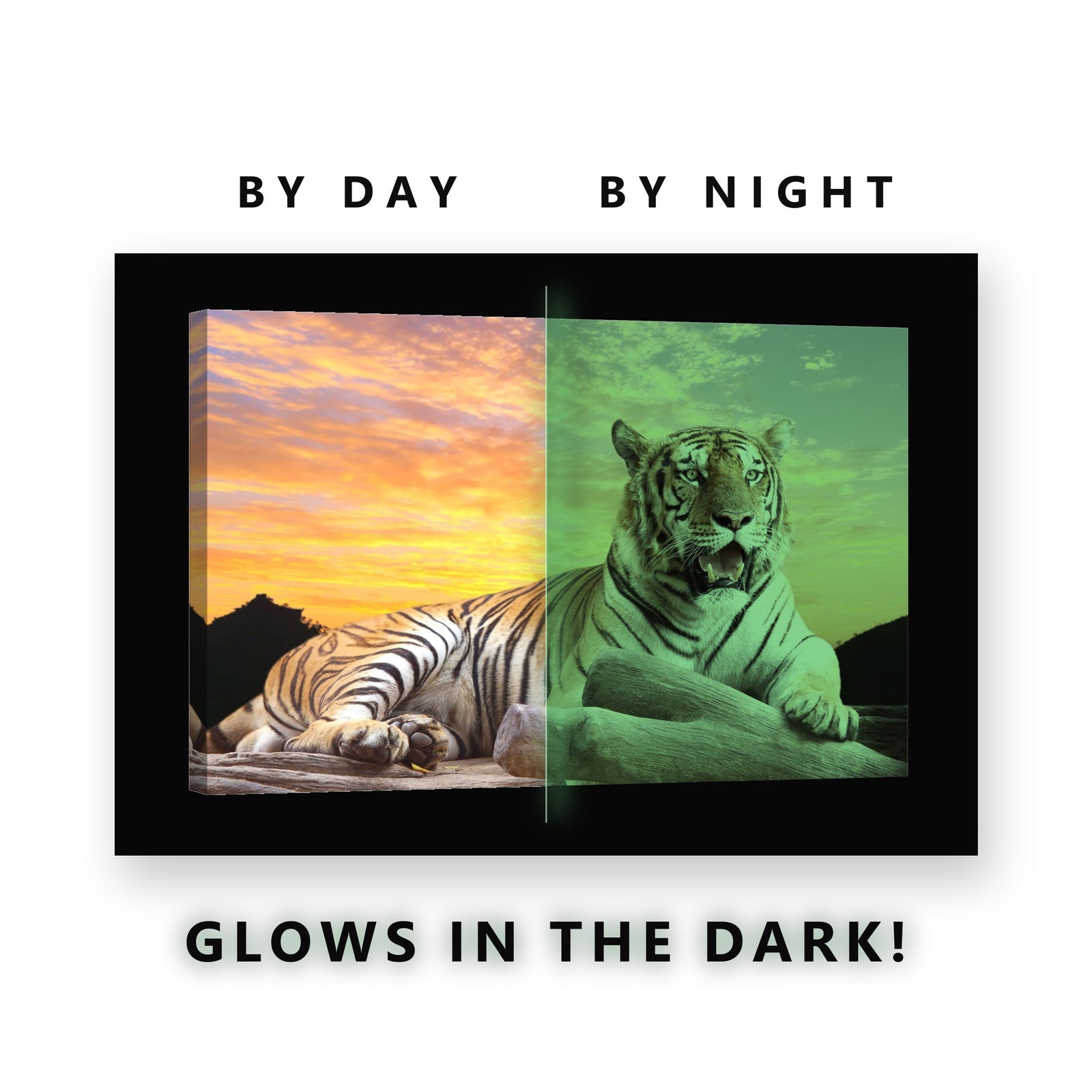 Tiger at Sunset Glow in the Dark Canvas Wall Art for Living Room, glowing at night