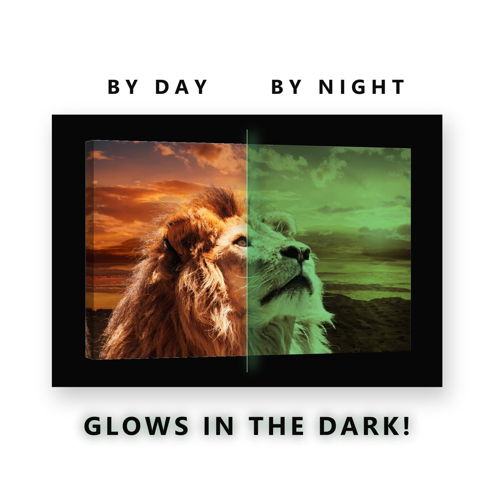 Lion Looking Up at Sunset Glow in the Dark Canvas Wall Art Living Room, glowing at night