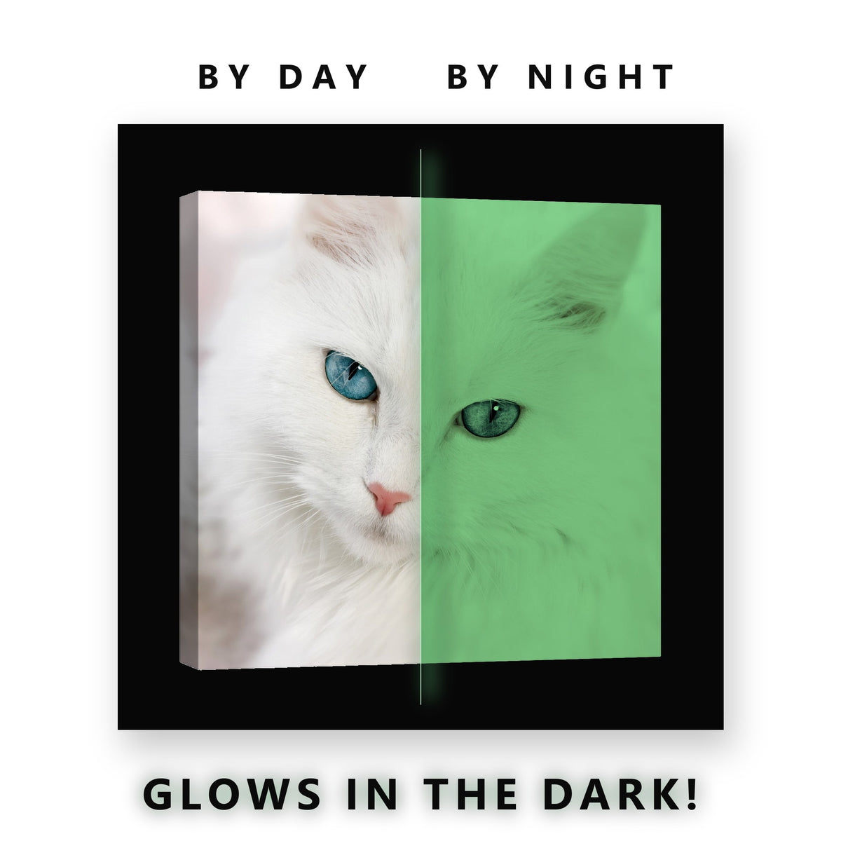 White Cat With Blue Eyes Glow in the Dark Canvas Wall Art Living Room, glowing at night