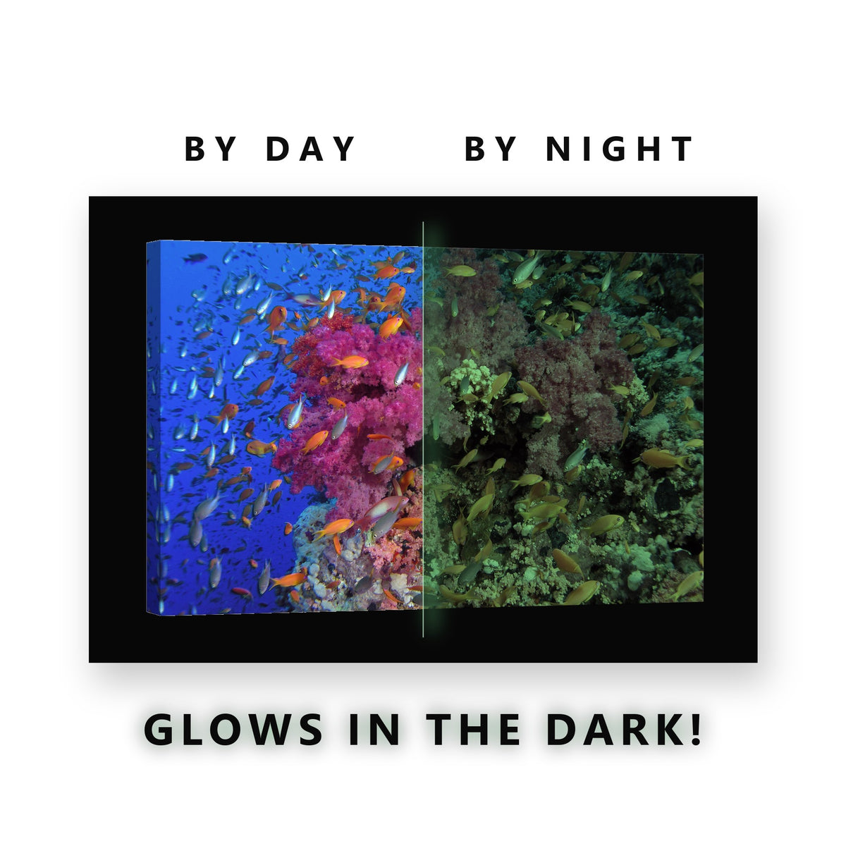 Pink Coral Reef With Anthias Glow in the Dark Canvas Wall Art Bathroom, glowing at night
