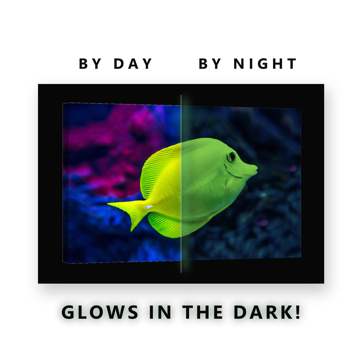 Yellow Tang Fish Glow in the Dark Canvas Wall Art for Bathroom, glowing at night