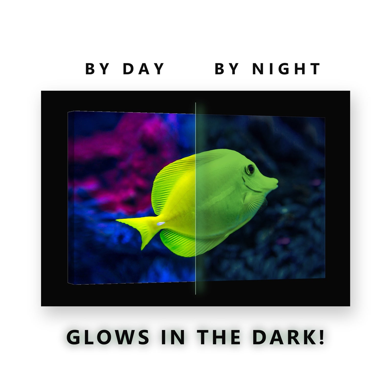 Yellow Tang Fish Glow in the Dark Canvas Wall Art for Bathroom, glowing at night