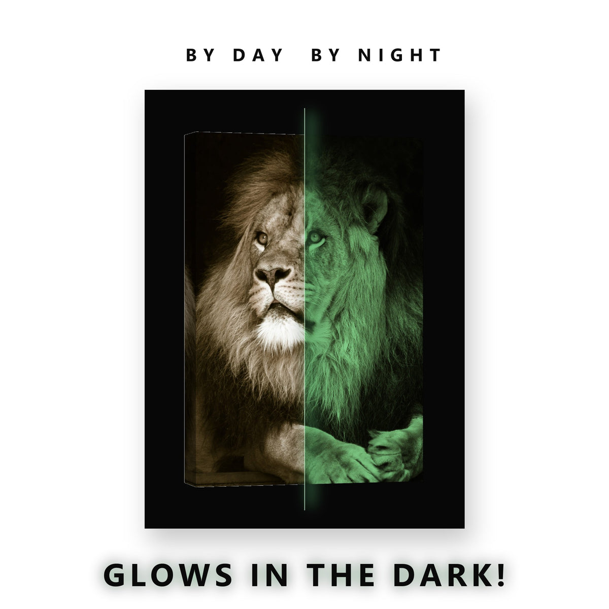 Lion Resting Sepia Portrait Glow in the Dark Canvas Wall Art Living Room, glowing at night