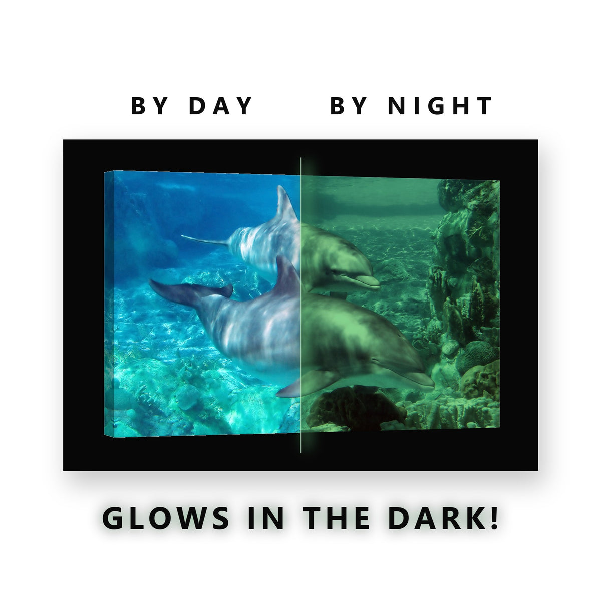 Two Dolphins Over the Reef Glow in the Dark Canvas Wall Art Kids Room, glowing at night