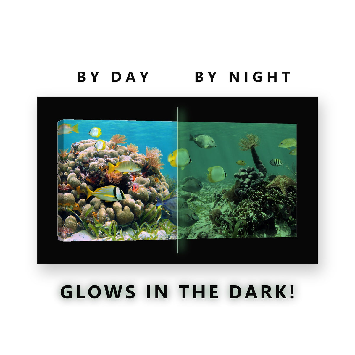 Panoramic Coral Reef Glow in the Dark Canvas Wall Art for Bathroom, glowing at night