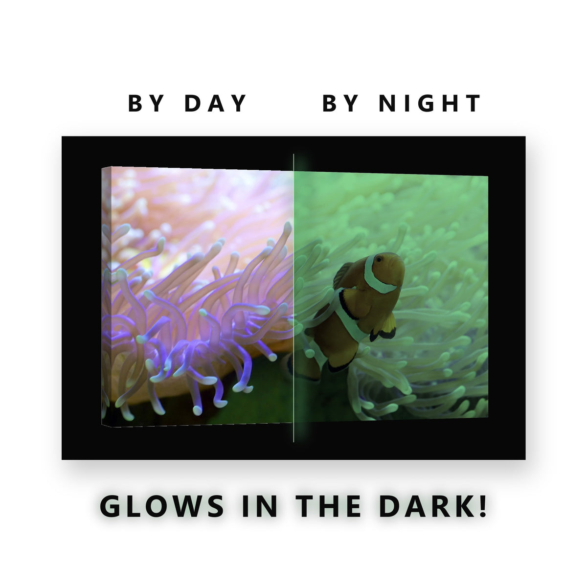 Clownfish in a Pink Anemone Glow in the Dark Canvas Wall Art Kids Room, glowing at night