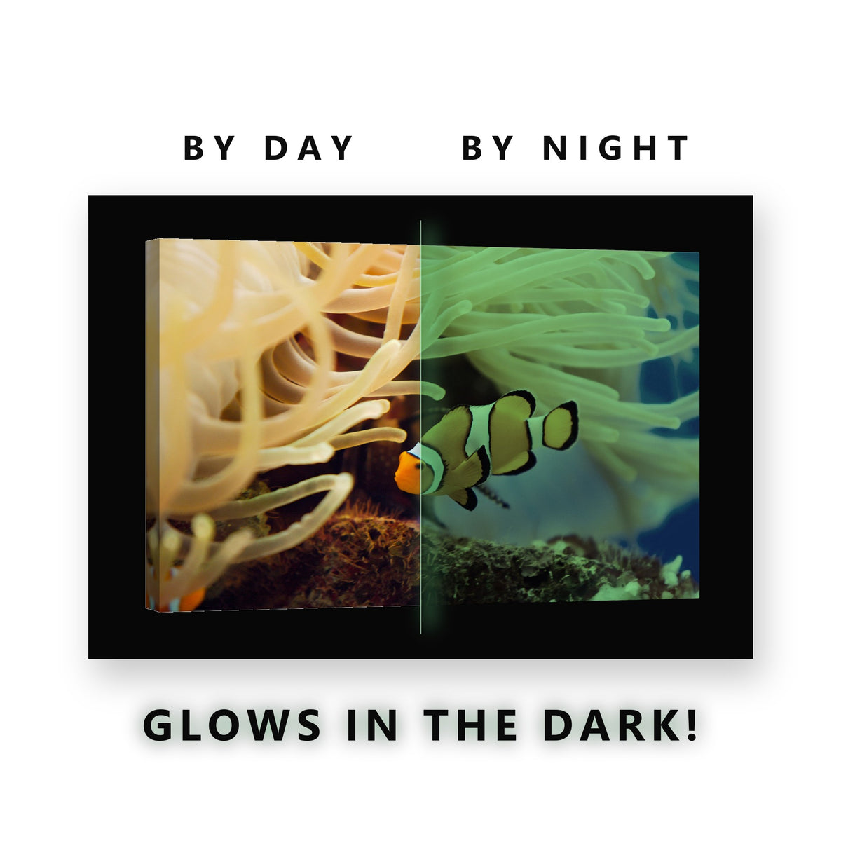Clownfish and Anemone Glow in the Dark Canvas Wall Art for Bathroom, glowing at night