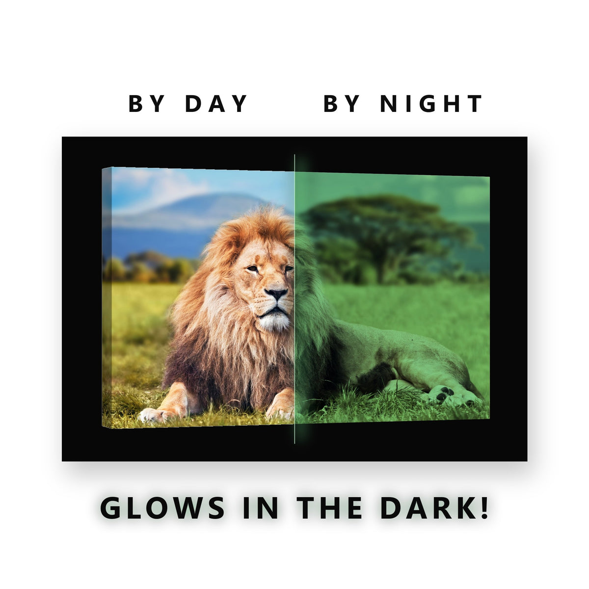 Lion in the Savanna Grass Glow in the Dark Canvas Wall Art Living Room, glowing at night