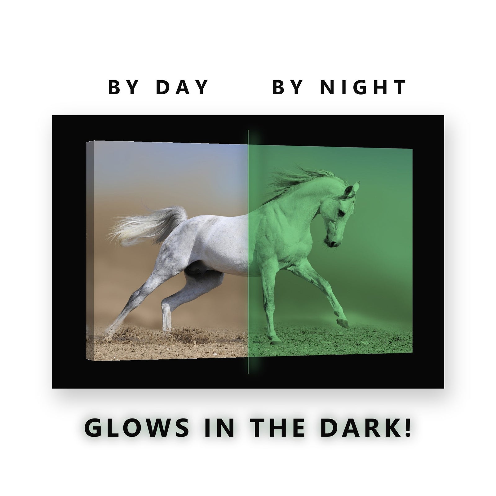 White Arabian Horse Running Glow in the Dark Canvas Wall Art Living Room, glowing at night