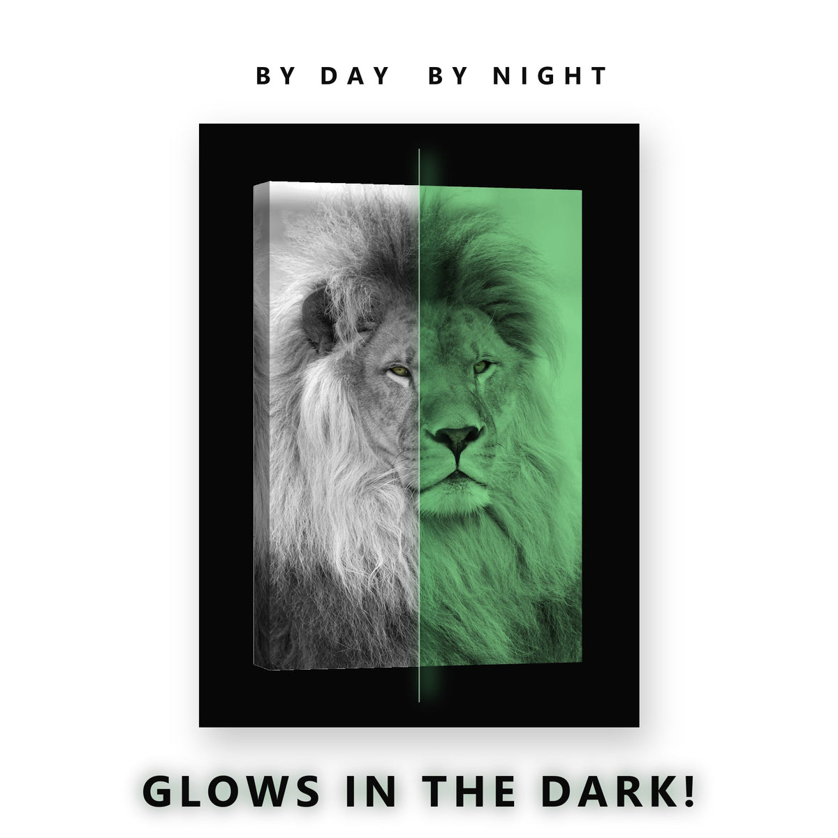 Black and White Lion Green Eyes Glow in the Dark Canvas Wall Art Office, glowing at night