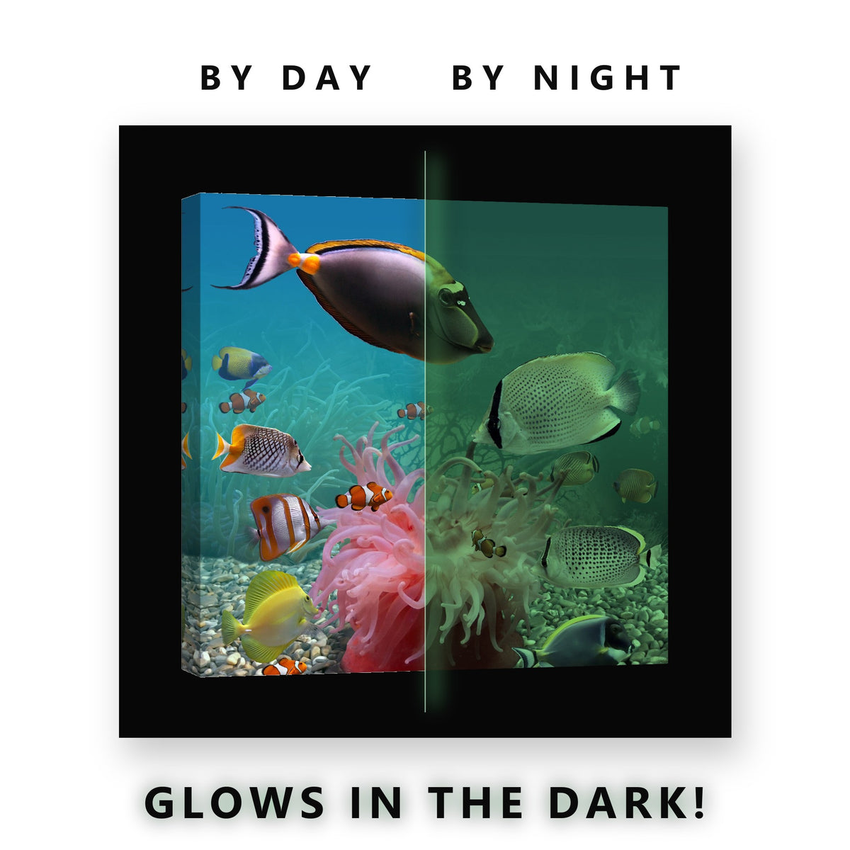 Tropical Reef Aquarium Scene Glow in the Dark Canvas Wall Art Kids Room, glowing at night