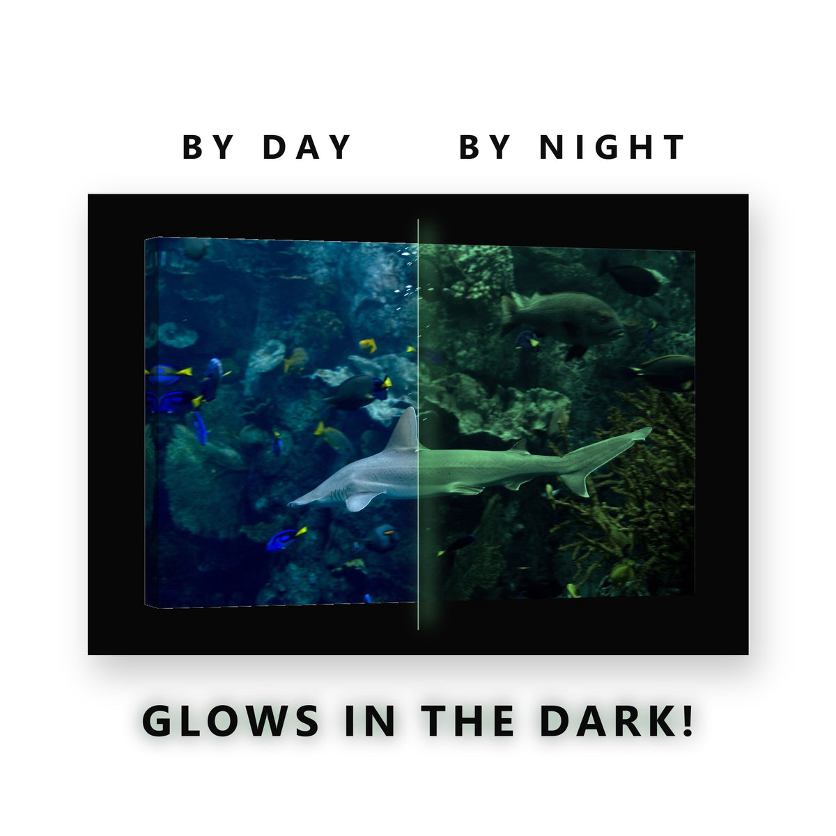 Reef Shark and Blue Tangs Glow in the Dark Canvas Wall Art for Bathroom, glowing at night