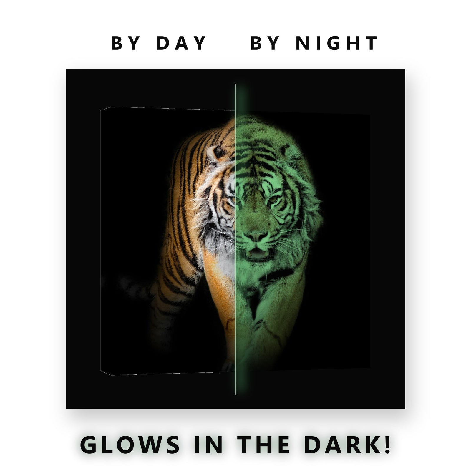 Tiger Walking Out of the Dark Glow in the Dark Canvas Wall Art Man Cave, glowing at night