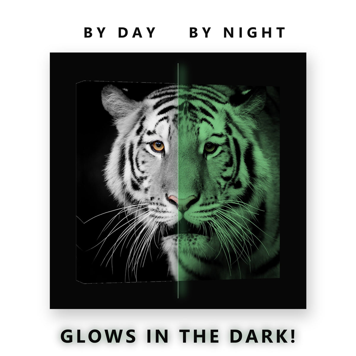 White Tiger Amber Eyes Glow in the Dark Canvas Wall Art for Living Room, glowing at night