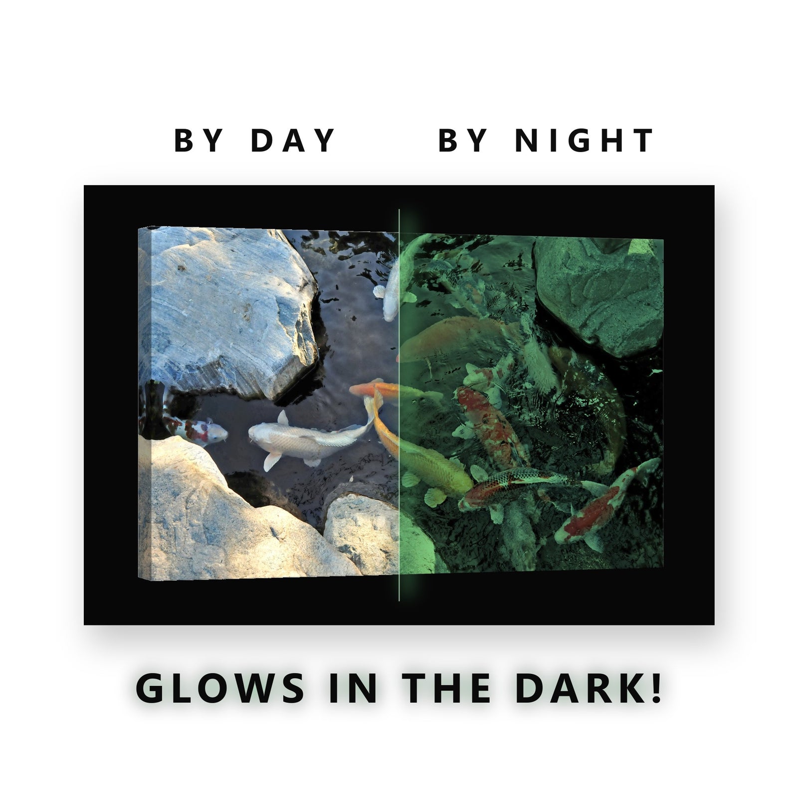 Koi Carp in a Stone Pond Glow in the Dark Canvas Wall Art for Bathroom, glowing at night