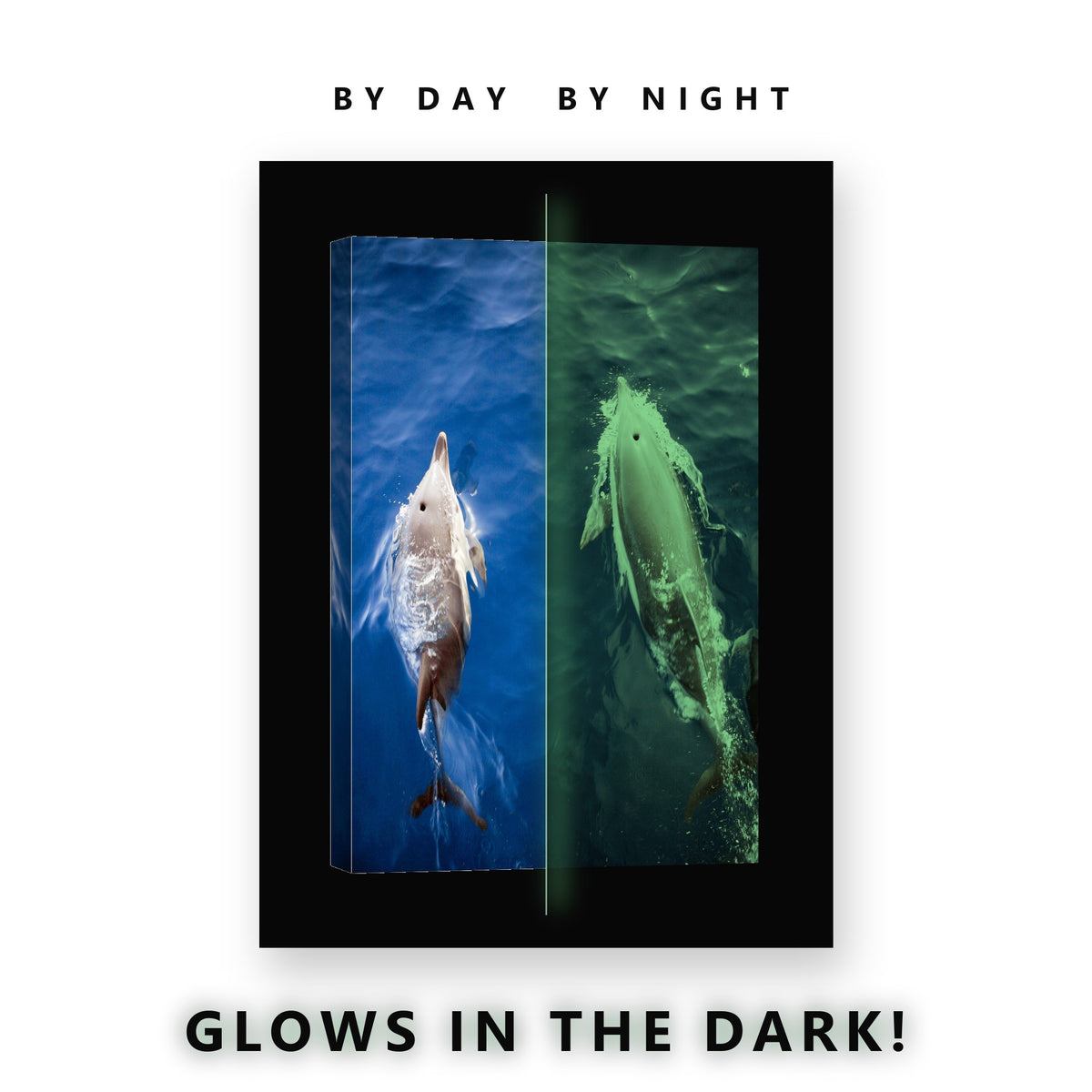 Two Dolphins From Above Glow in the Dark Canvas Wall Art for Bathroom, glowing at night
