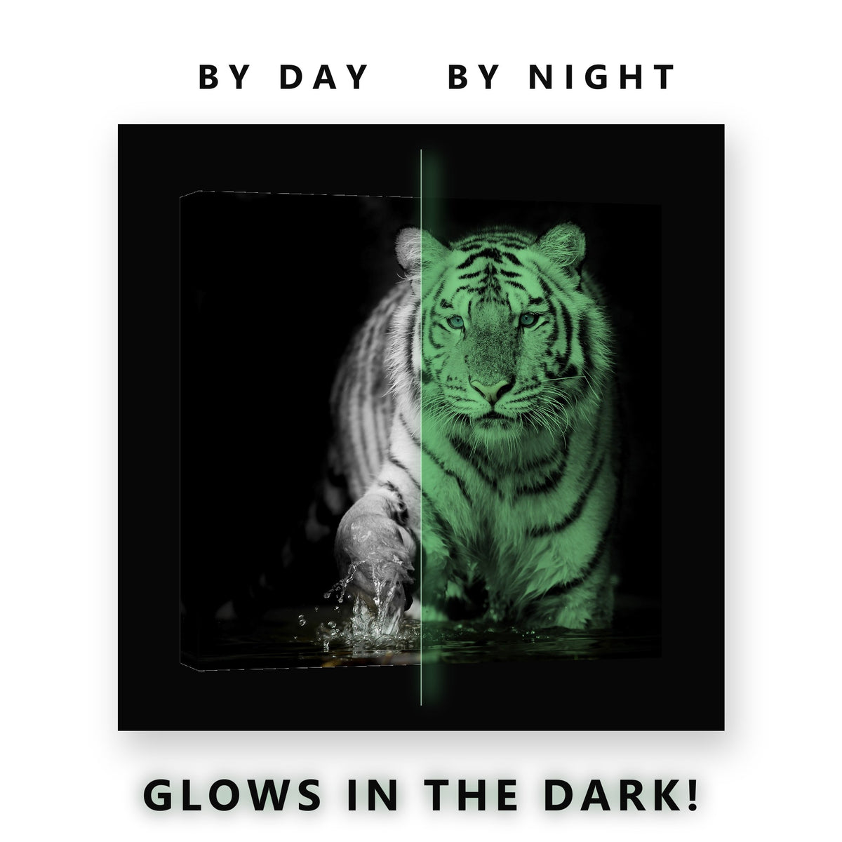 White Tiger Blue Eyes in Water Glow in the Dark Canvas Wall Art Man Cave, glowing at night