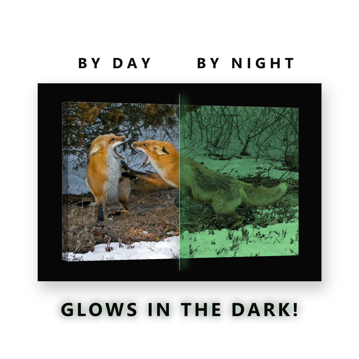 Two Red Foxes in the Snow Glow in the Dark Canvas Wall Art for Living Room, glowing at night