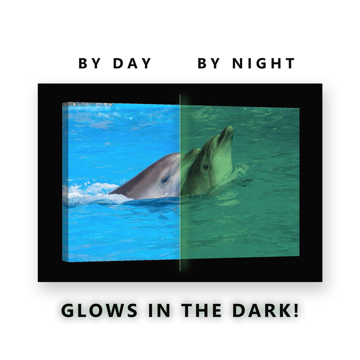 Two Dolphins in Blue Water Glow in the Dark Canvas Wall Art Bathroom, glowing at night