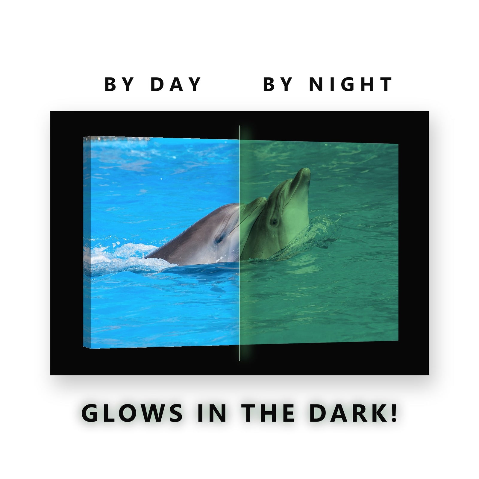 Two Dolphins in Blue Water Glow in the Dark Canvas Wall Art Bathroom, glowing at night
