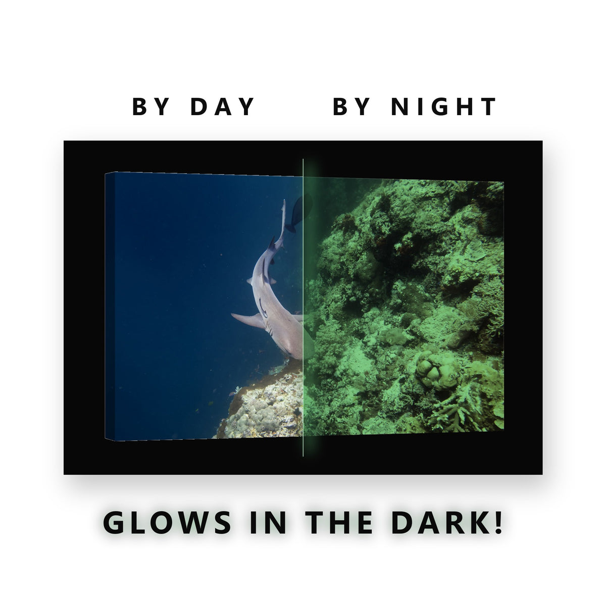 Reef Shark by the Coral Wall Glow in the Dark Canvas Wall Art Bathroom, glowing at night