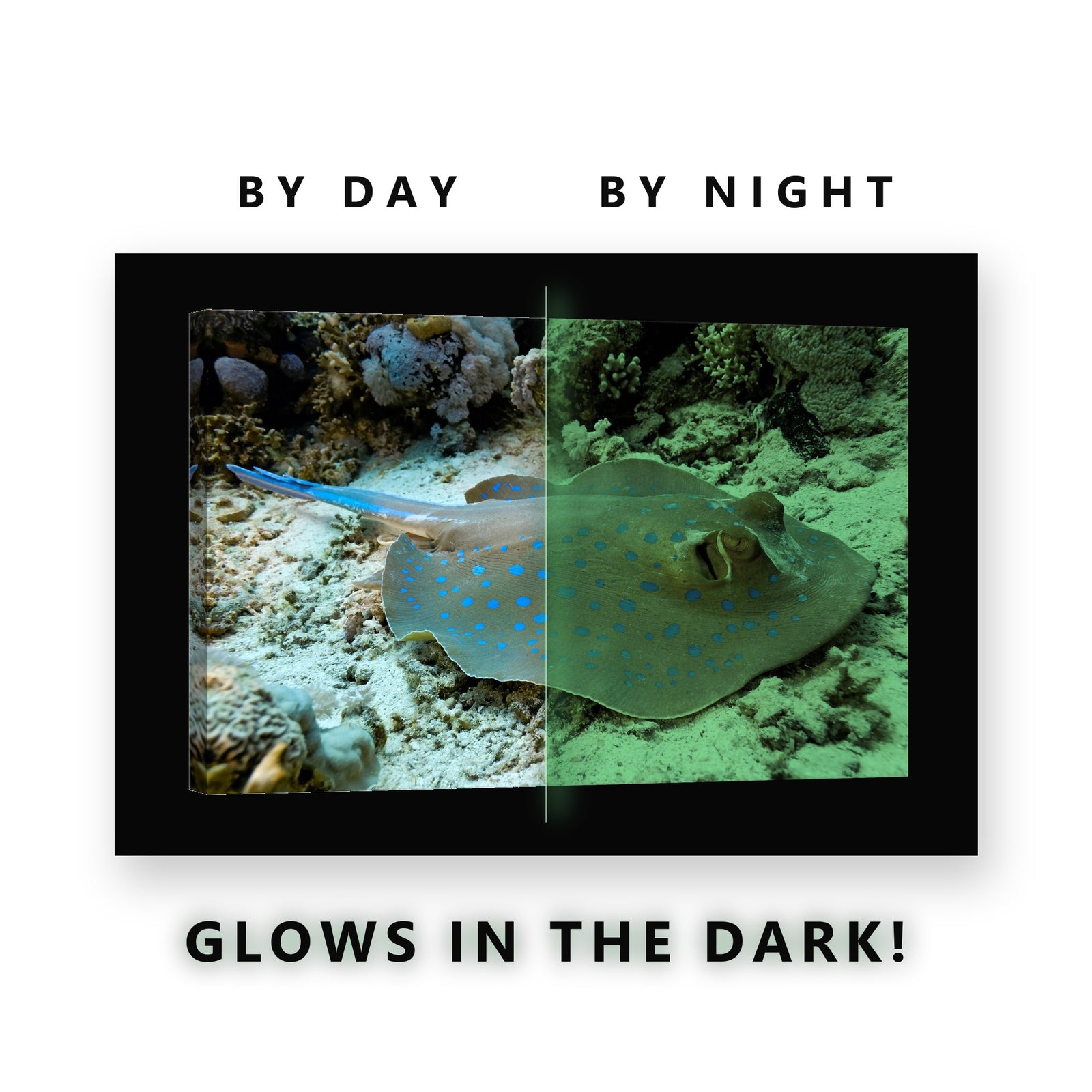 Blue Spotted Stingray Glow in the Dark Canvas Wall Art for Bathroom, glowing at night
