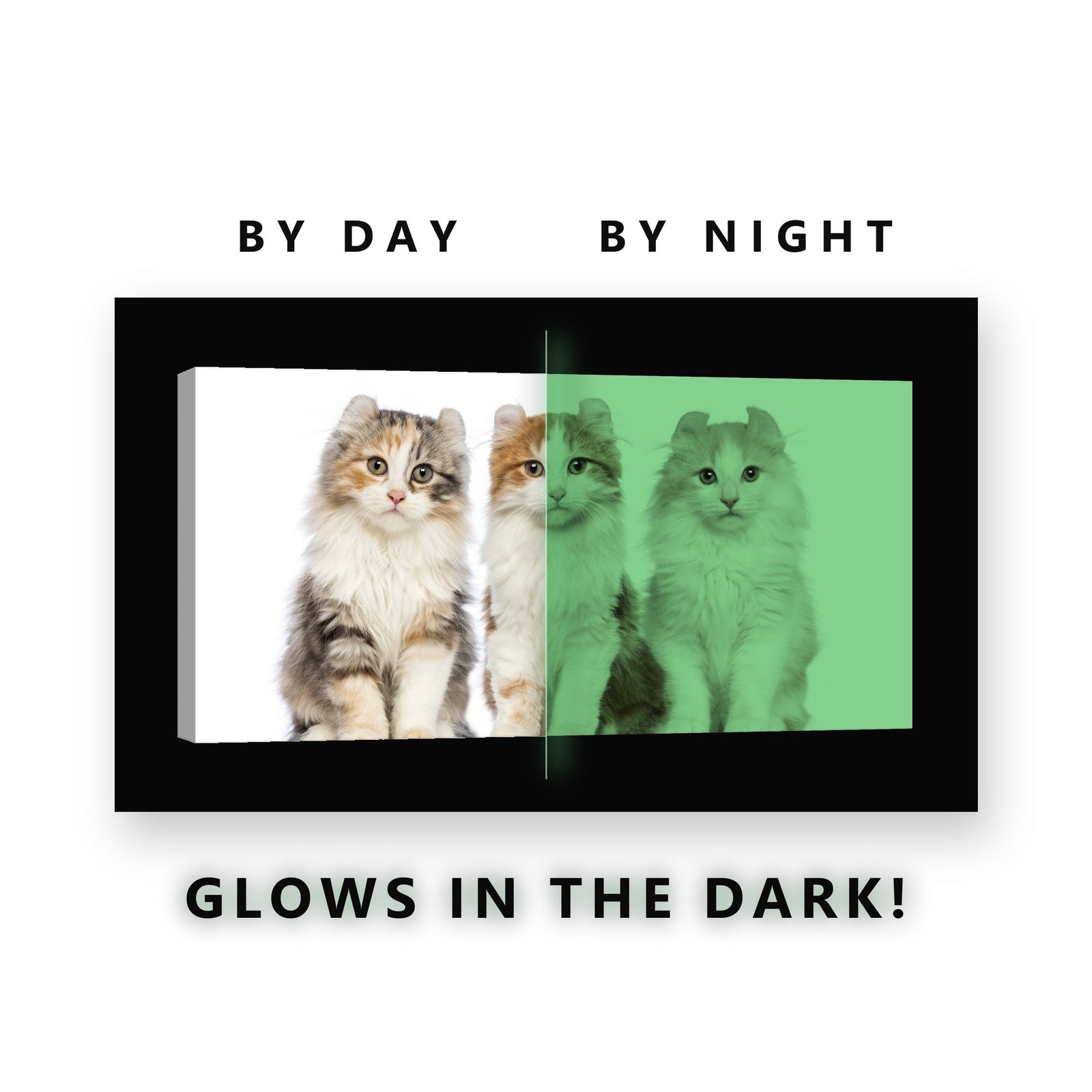 Three Kittens in a Row Glow in the Dark Canvas Wall Art for Kids Room, glowing at night