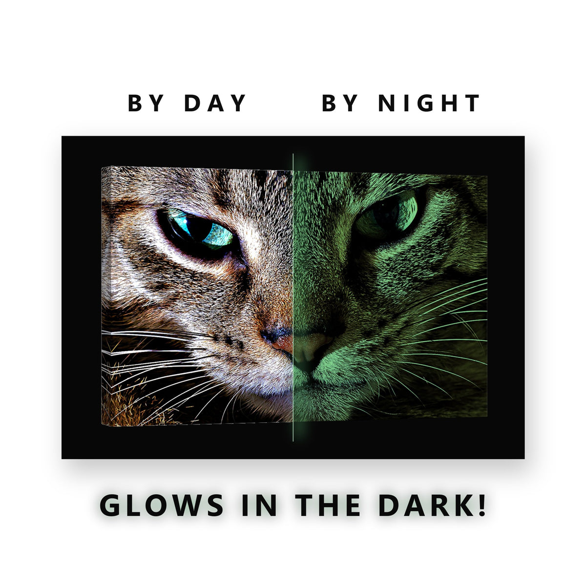 Tabby Cat Green Eyes Close Up Glow in the Dark Canvas Wall Art Living Room, glowing at night