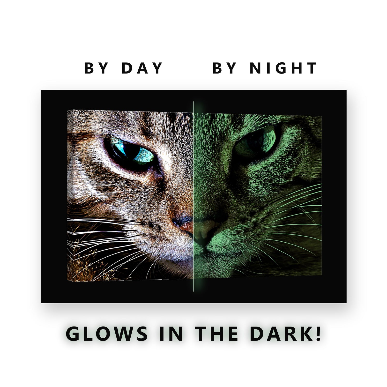 Tabby Cat Green Eyes Close Up Glow in the Dark Canvas Wall Art Living Room, glowing at night