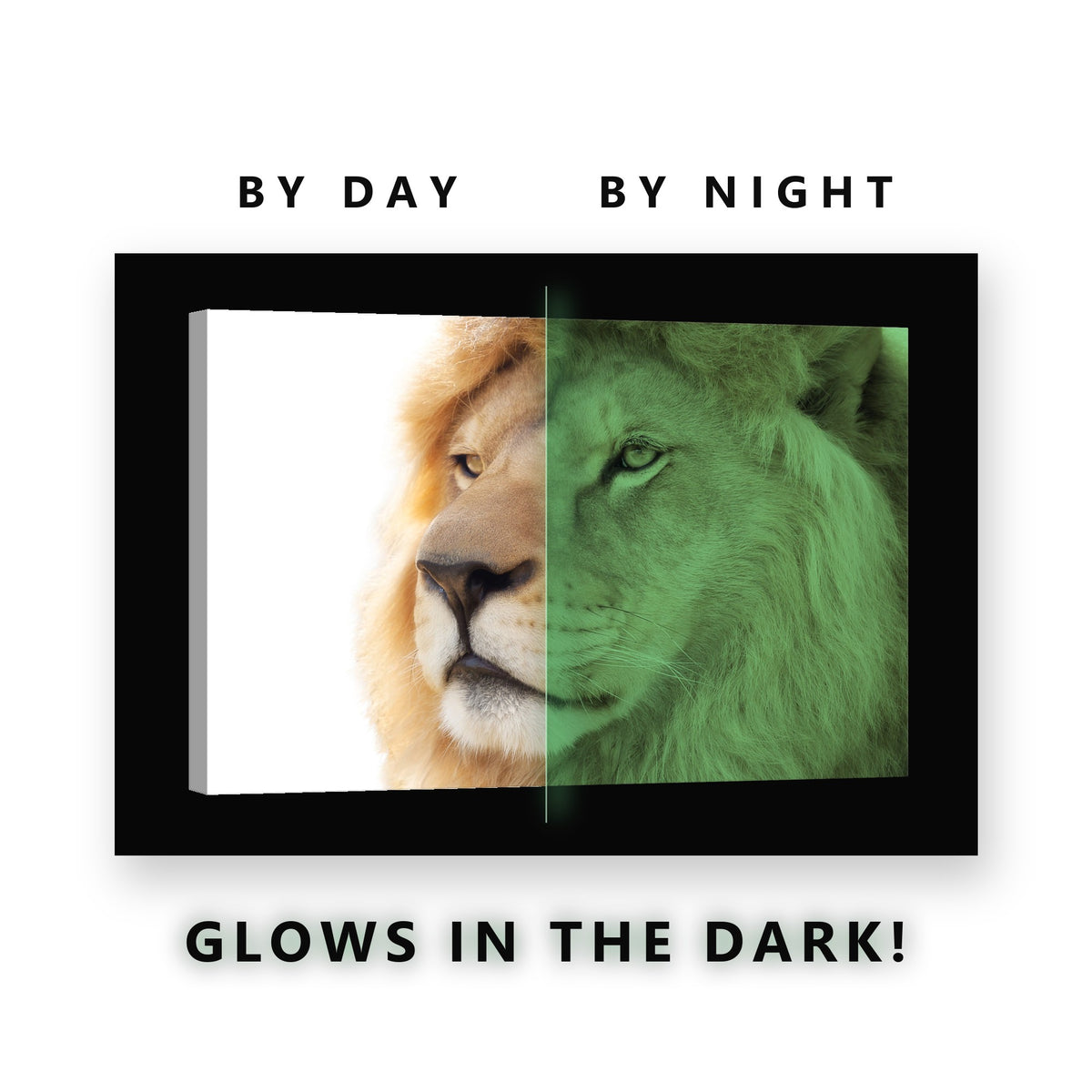 Lion Head on White Glow in the Dark Canvas Wall Art for Living Room, glowing at night