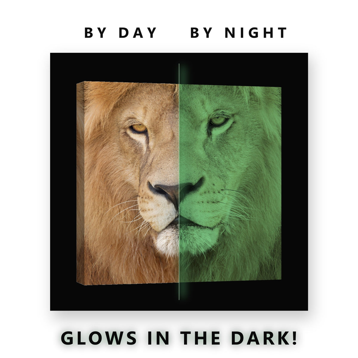Lion Face Close Up Glow in the Dark Canvas Wall Art for Living Room, glowing at night