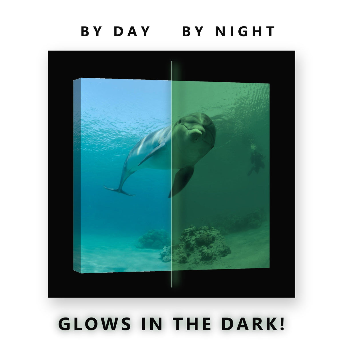 Dolphin and Diver on the Reef Glow in the Dark Canvas Wall Art Bathroom, glowing at night