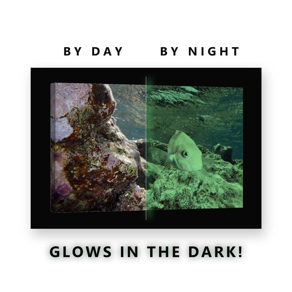 Pink and Green Reef Fish Glow in the Dark Canvas Wall Art for Bathroom, glowing at night