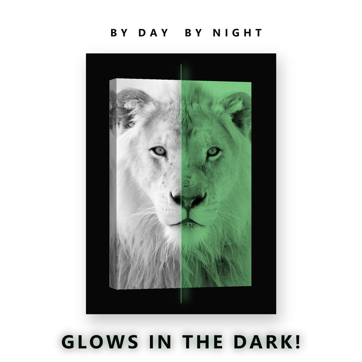 White Lion Black and White Glow in the Dark Canvas Wall Art Living Room, glowing at night