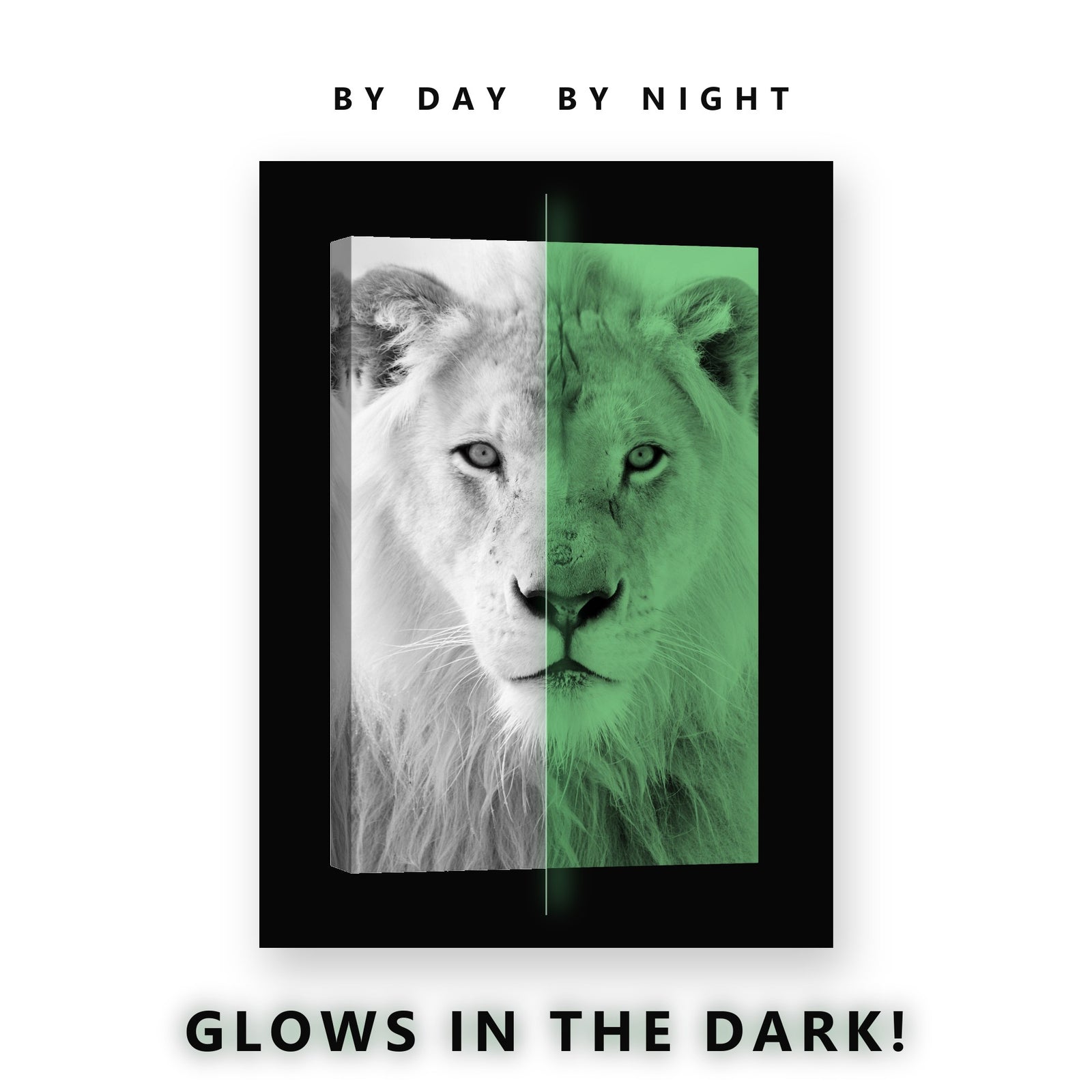 White Lion Black and White Glow in the Dark Canvas Wall Art Living Room, glowing at night