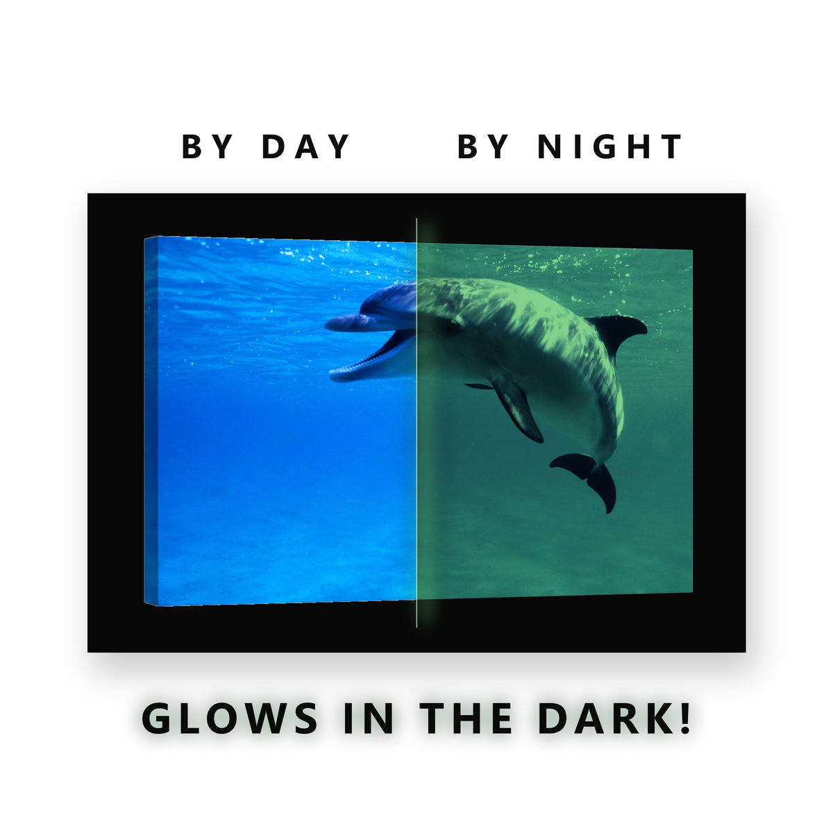 Dolphin in Clear Blue Water Glow in the Dark Canvas Wall Art Bathroom, glowing at night