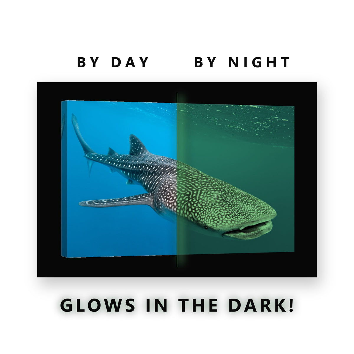 Whale Shark in Open Water Glow in the Dark Canvas Wall Art Living Room, glowing at night