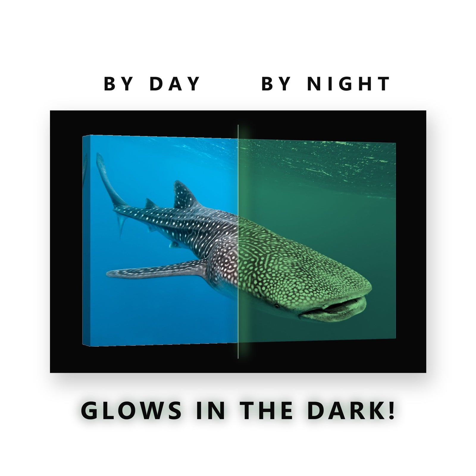 Whale Shark in Open Water Glow in the Dark Canvas Wall Art Living Room, glowing at night