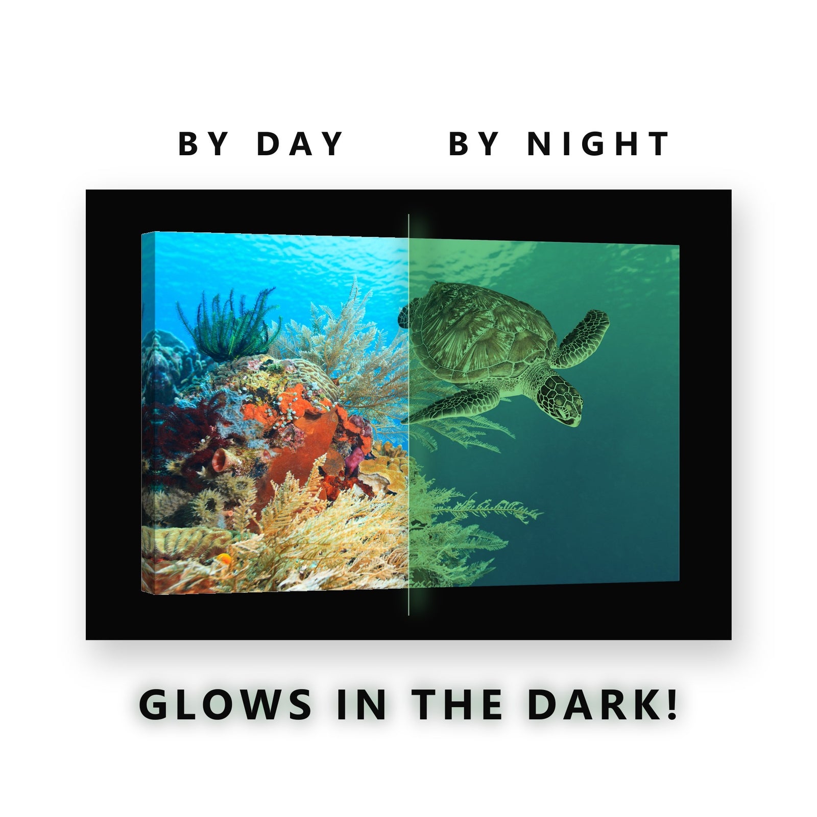 Green Sea Turtle on the Reef Glow in the Dark Canvas Wall Art Bathroom, glowing at night
