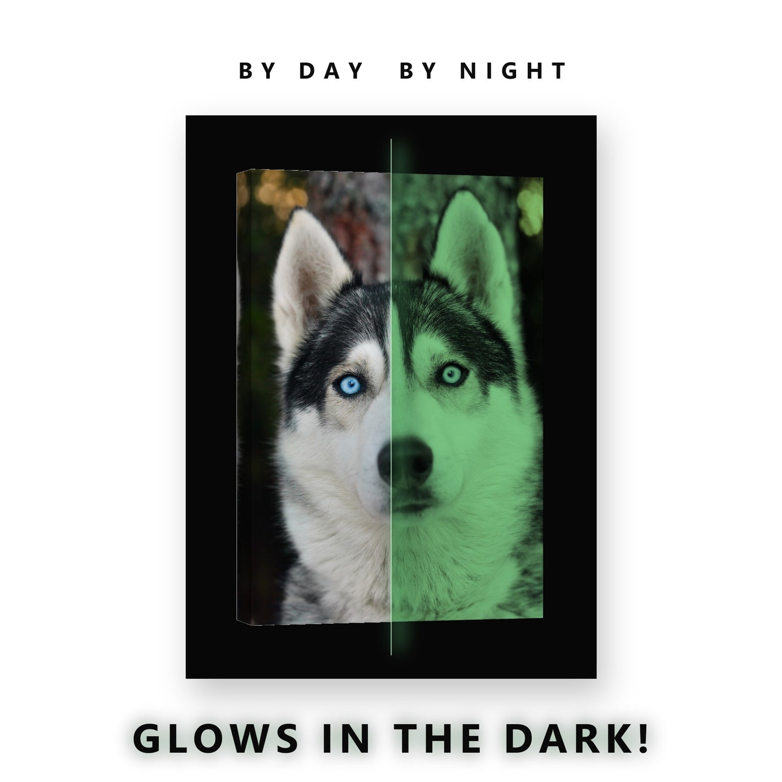 Siberian Husky Blue Eyes Glow in the Dark Canvas Wall Art Living Room, glowing at night