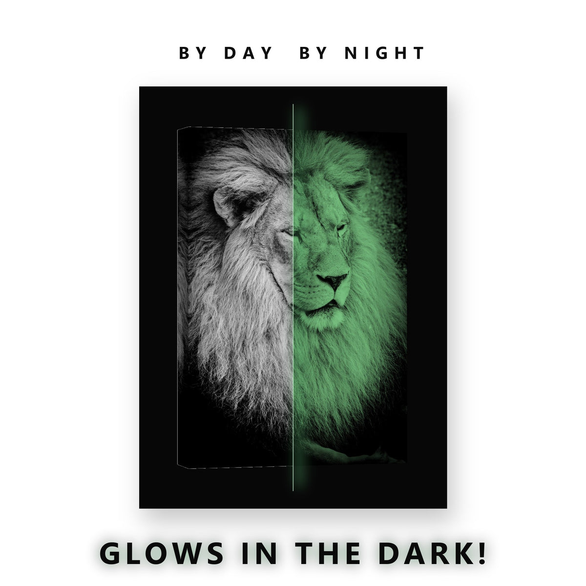 Lion Portrait in Monochrome Glow in the Dark Canvas Wall Art Home Office, glowing at night