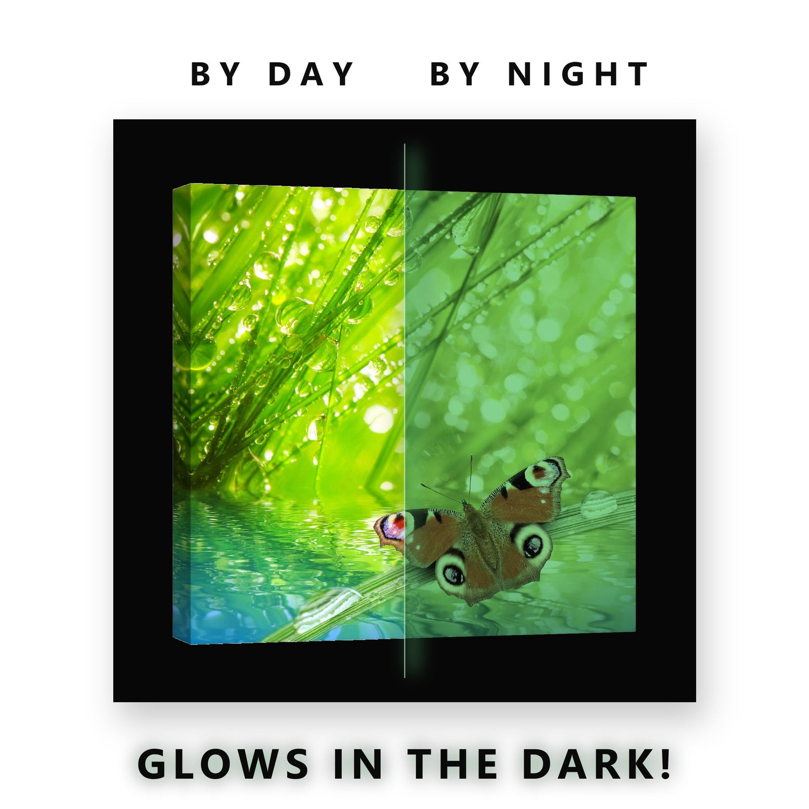 Peacock Butterfly on Wet Grass Glow in the Dark Canvas Wall Art Kids Room, glowing at night