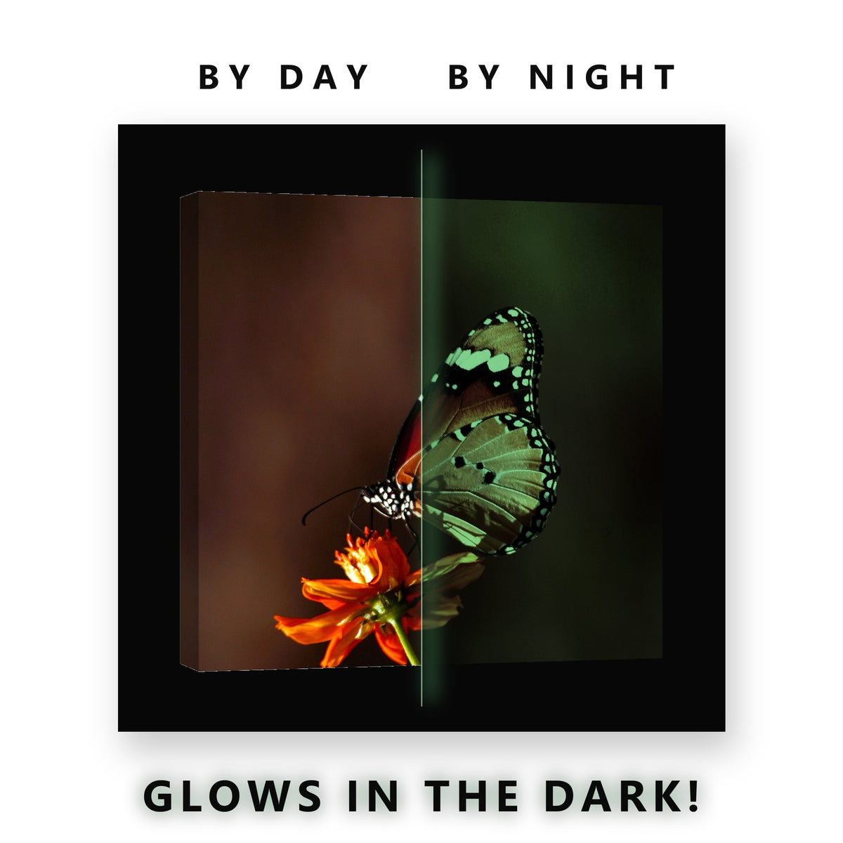 Butterfly on an Orange Flower Glow in the Dark Canvas Wall Art Kids Room, glowing at night