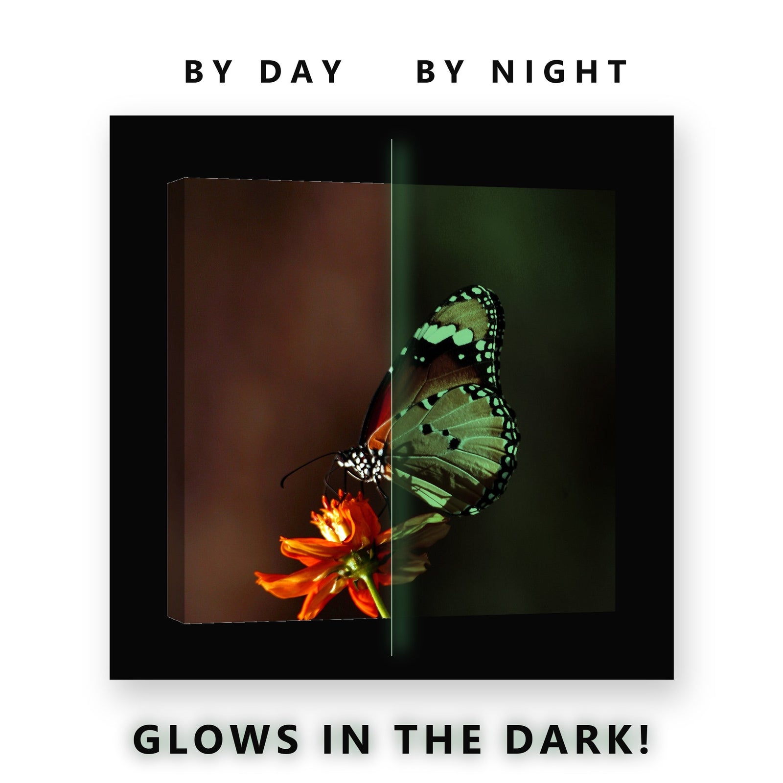Butterfly on an Orange Flower Glow in the Dark Canvas Wall Art Kids Room, glowing at night